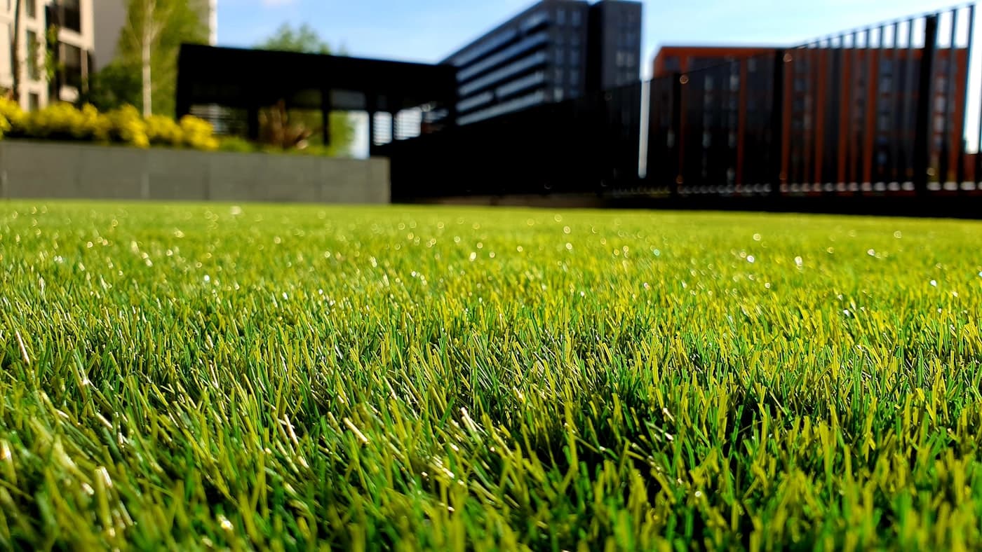 A manicured lawn bordered by a modern fence